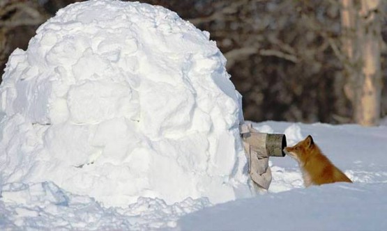 Fotoğraf Çekme Sanatı, Zorlukları